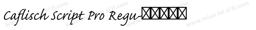 Caflisch Script Pro Regu字体转换